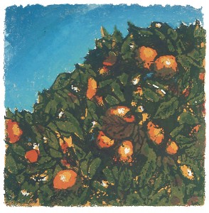 «Τα νεράντζια φωνάζουν», χαρακτικό σε πέτρα πεζοδρομίου με 5 χρώματα, 1983, 50x50